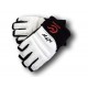 Taekwondo Gloves - Wacoku (approved)