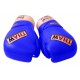 Boxing gloves - ThaW - Pro Lace