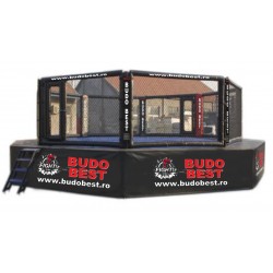 Professional MMA cage platform and catwalk