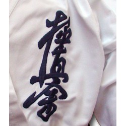 Gi Kyokushin Master