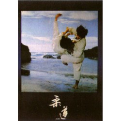 Poster arte marțiale H-224 Judo Lac
